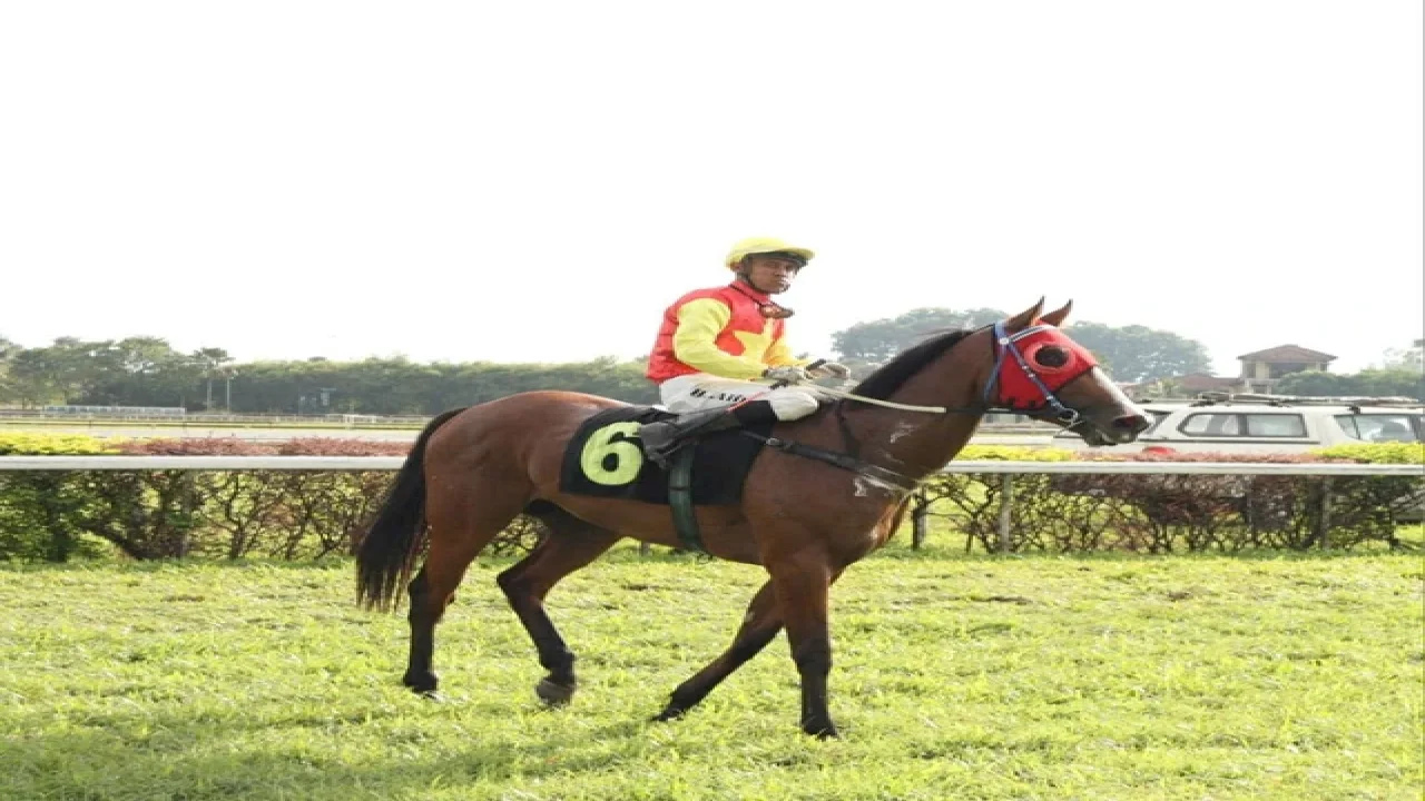 Chú ngựa trẻ Thiên Mã của Việt Nam lập chiến công tại Malaysia