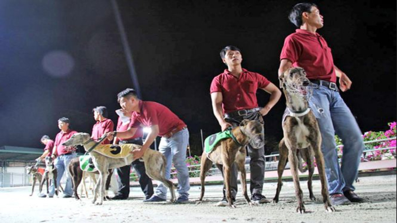 Hỏi và Trả lời